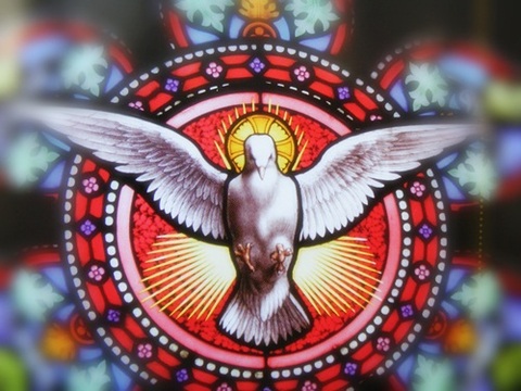 an image